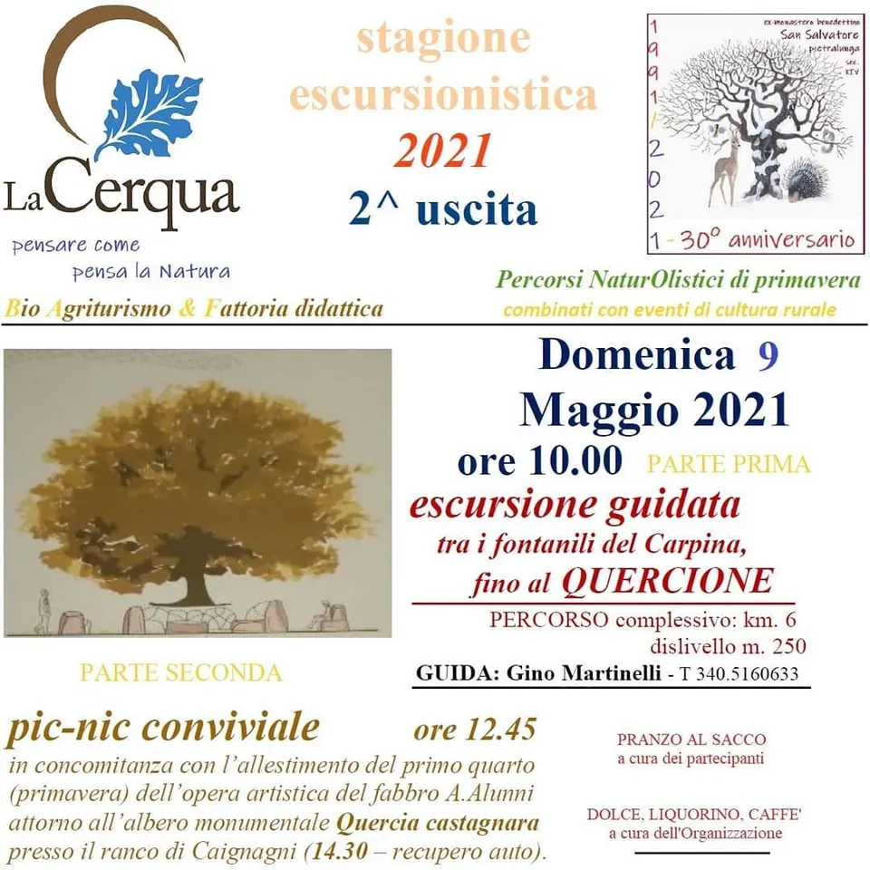 Il Quercione (the great oak)