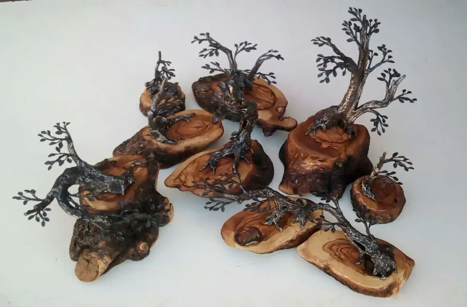 Albero piccolo — Alunni Alberto
