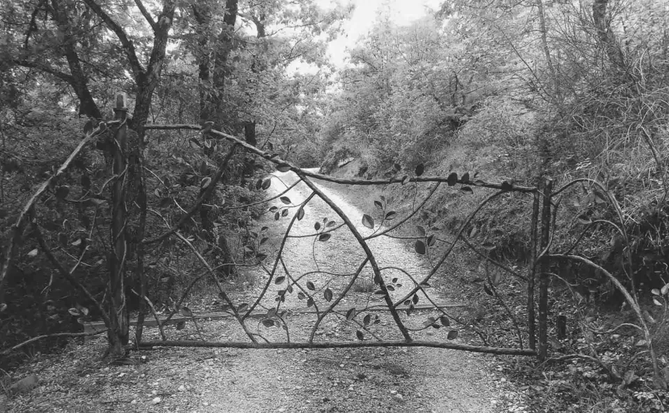 Cancello — Alunni Alberto
